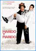 os declaro marido y marido torrent descargar o ver pelicula online 8