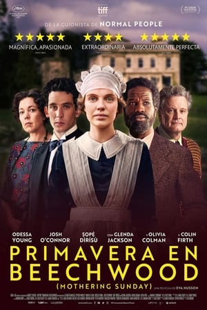 primavera en beechwood torrent descargar o ver pelicula online 2