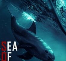 sea of shadows torrent descargar o ver pelicula online 1