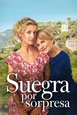 suegra por sorpresa torrent descargar o ver pelicula online 1