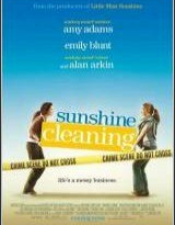 sunshine cleaning torrent descargar o ver pelicula online 2