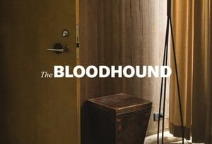 the bloodhound torrent descargar o ver pelicula online 2