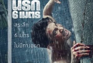 the pool torrent descargar o ver pelicula online 2