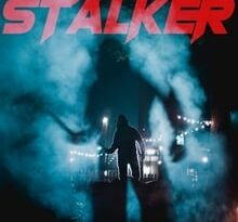 the stalker torrent descargar o ver pelicula online 9