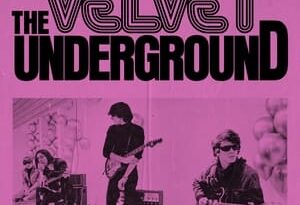 the velvet underground torrent descargar o ver pelicula online 8