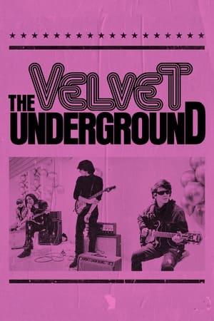 the velvet underground torrent descargar o ver pelicula online 1