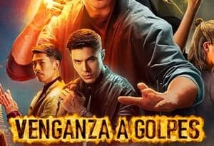 venganza a golpes torrent descargar o ver pelicula online 2