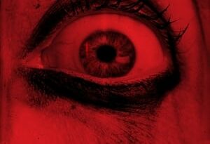 we need to do something torrent descargar o ver pelicula online 2