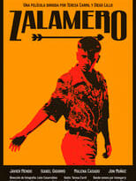 zalamero torrent descargar o ver pelicula online 7