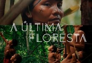 a Última floresta torrent descargar o ver pelicula online 7