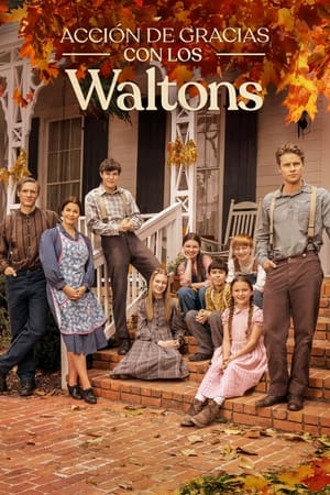 acción de gracias con los waltons torrent descargar o ver pelicula online 1 acción de gracias con los waltons torrent descargar o ver pelicula online 1
