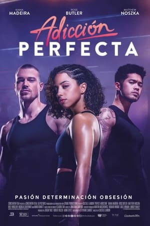 adicción perfecta torrent descargar o ver pelicula online 1