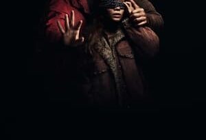 bird box barcelona torrent descargar o ver pelicula online 12