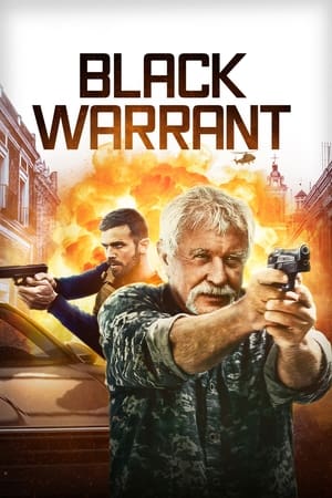 black warrant torrent descargar o ver pelicula online 1