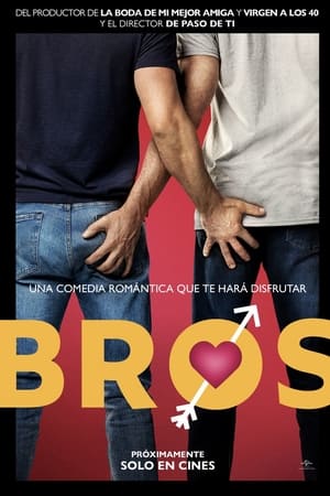 bros: más que amigos torrent descargar o ver pelicula online 1