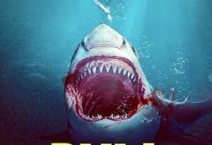 bull shark torrent descargar o ver pelicula online 2
