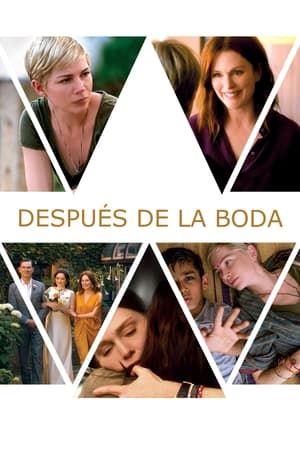 después de la boda torrent descargar o ver pelicula online 1