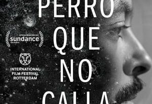 el perro que no calla torrent descargar o ver pelicula online 2