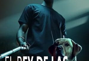 el rey de las sombras torrent descargar o ver pelicula online 12