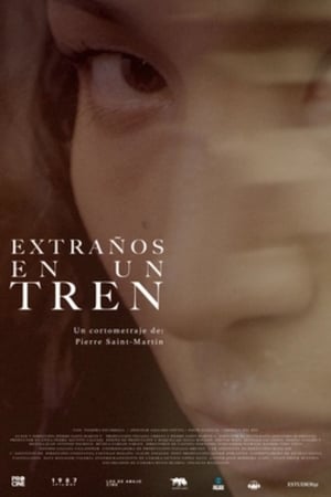 extraños en un tren torrent descargar o ver pelicula online 1