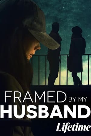 framed by my husband torrent descargar o ver pelicula online 1