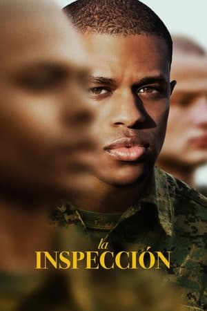 la inspección torrent descargar o ver pelicula online 1