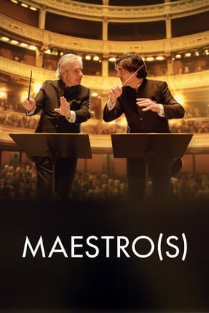 maestro torrent descargar o ver pelicula online 1