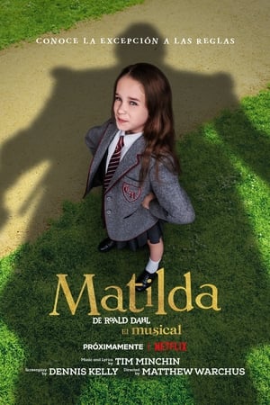 matilda, de roald dahl: el musical torrent descargar o ver pelicula online 1