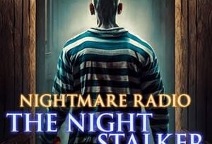 nightmare radio: the night stalker torrent descargar o ver pelicula online 8