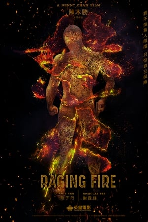 raging fire torrent descargar o ver pelicula online 1