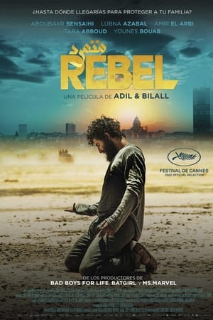 rebel torrent descargar o ver pelicula online 1