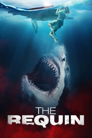 sharkwater torrent descargar o ver pelicula online 1