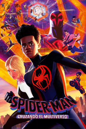 spider-man: cruzando el multiverso torrent descargar o ver pelicula online 1