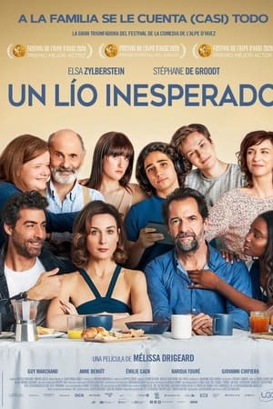 un lío inesperado torrent descargar o ver pelicula online 1 un lío inesperado torrent descargar o ver pelicula online 1