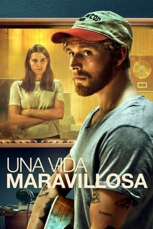 una vida maravillosa torrent descargar o ver pelicula online 1