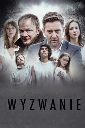 wyzwanie torrent descargar o ver pelicula online 1